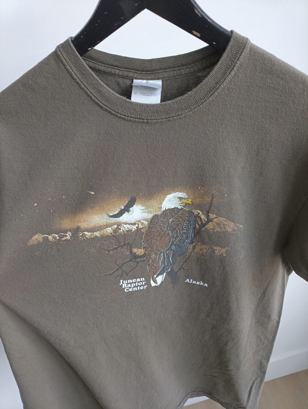 Vintage Y2K Alaska Juneau Raptor Center Eagle Tee Medium Gildan Brown T-Shirt